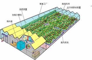 計(jì)算機(jī)控制的簡(jiǎn)易植物工廠模型 無(wú)公害蔬菜生產(chǎn)新路徑